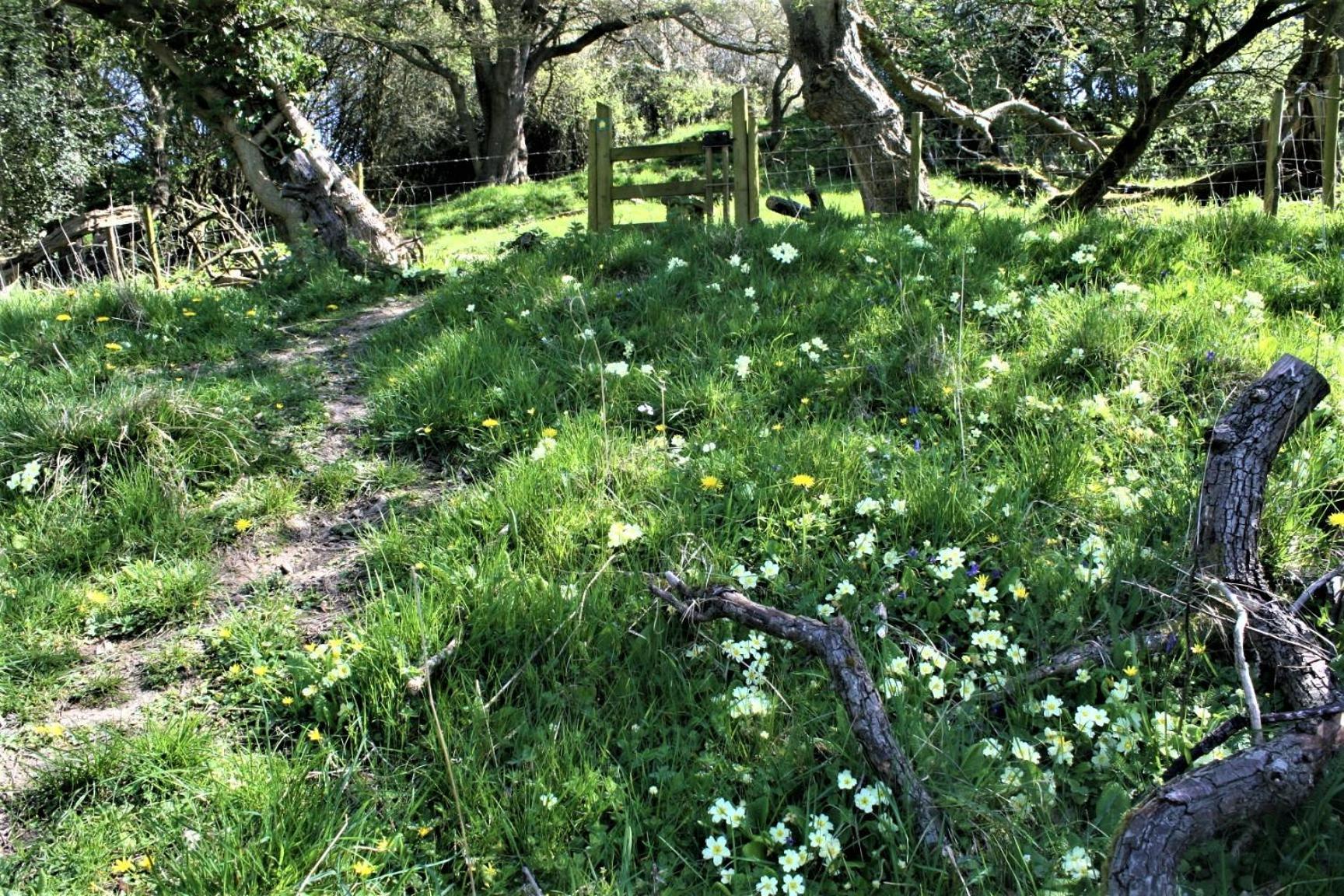 Holiday home Tranquil Countryside For Two